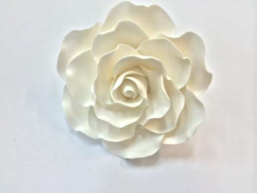 Extra Large White Rose - Click Image to Close